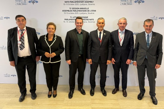 Članovi Delegacije PSBiH u PSNATO-a sastali se u Ljubljani sa članovima Delegacije Parlamenta Australije u PSNATO-a 